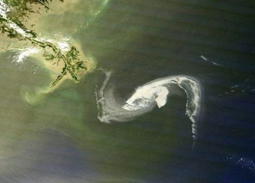 Der Ölteppich im Golf von Mexiko weitet sich aus