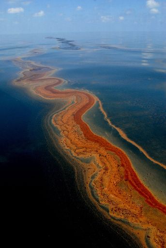 Ein Ölteppich schwimmt im Golf von Mexiko, etwa neun Meilen von der Deppwater Horizon entfernt (6. Mai)