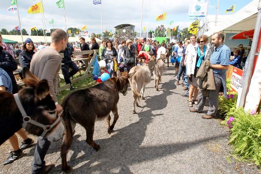 Landwirtschaftsmesse in Libramont großer Erfolg