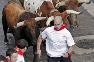 Verletzte bei erster Stierhatz in Pamplona