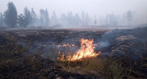 Die Waldbrände in Russland haben enorme Schäden angerichtet