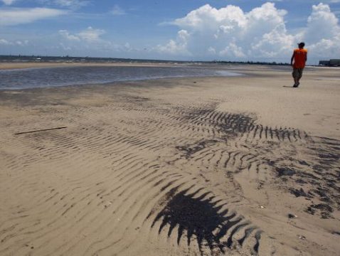 Eine besonders dramatische Folge der Ölpest: Die Vögel sind mit öl verklebt