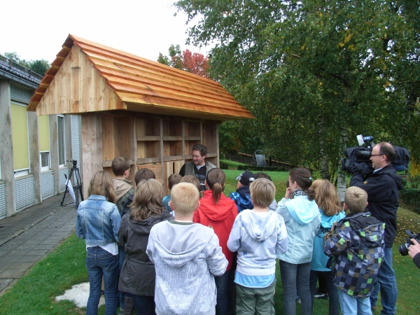 Das Insektenhaus in Burg Reuland