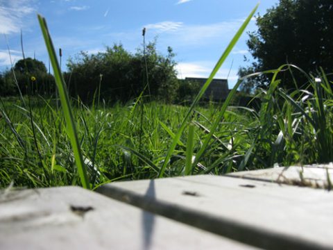 Eupen: Erholungsgebiet Ostpark eröffnet