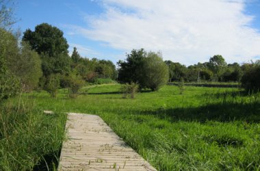 Eupen: Erholungsgebiet Ostpark eröffnet