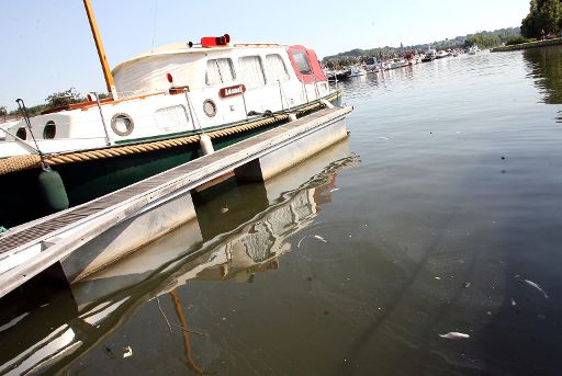 Die Meuse und alle anderen belgischen Wasserläufe sollen sauberer werden