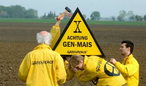 Greenpeace-Aktion: Achtung Gen-Mais