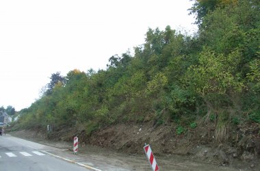 Der Millionenberg wird mit einem Lehrpfad neugestaltet