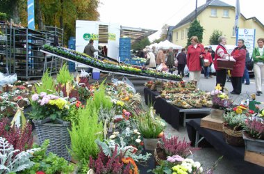 Michelsmarkt in Büllingen