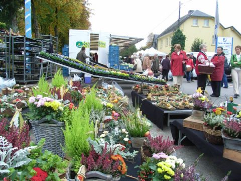 Michelsmarkt in Büllingen