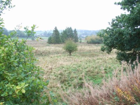 Das 'Tal der Emmels' zwischen Born und Deidenberg