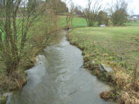 Die Amel in Deidenberg