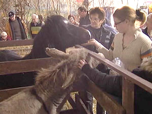 Eifel-Ardennen-Expo in Malmedy (2008)