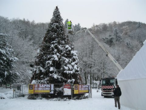 Generalprobe für Weihnachtsbaum-Rekordversuch in Malmedy