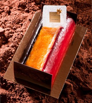 Bûche 'I love Belgium'