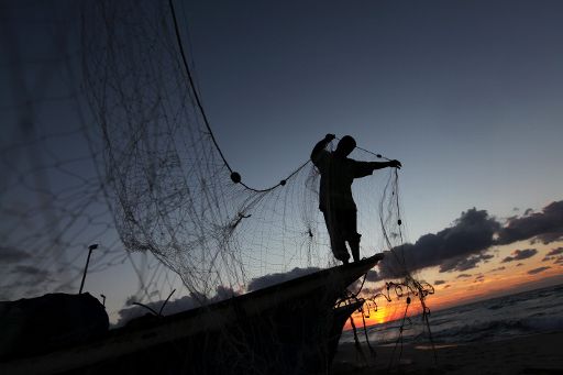 Nordsee: EU schraubt Fangquoten herunter