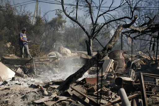 Feuer im Karmel-Gebirge: der schlimmste Brand in Israels Geschichte