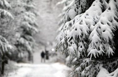 Schneetouristen auf dem Hohen Venn