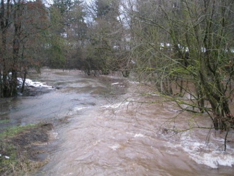 Hochwasser: Die Our in Andler Mühle