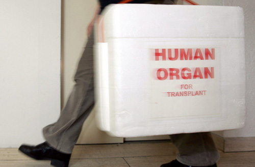Organspenden in Belgien auf Rekordniveau