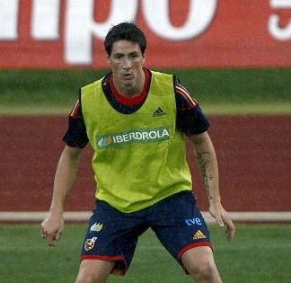 Fernando Torres