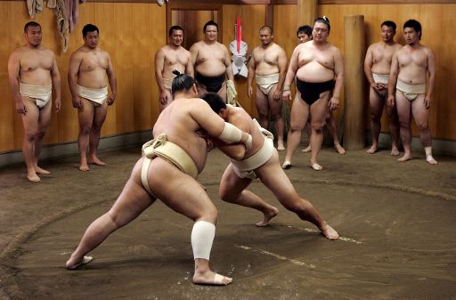 Sumo-Ringer