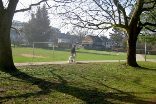 Spaziergänger mit Hund im Park Klinkeshöfchen in Eupen