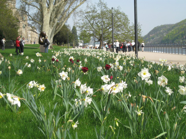 Bundesgartenschau 2011 in Koblenz