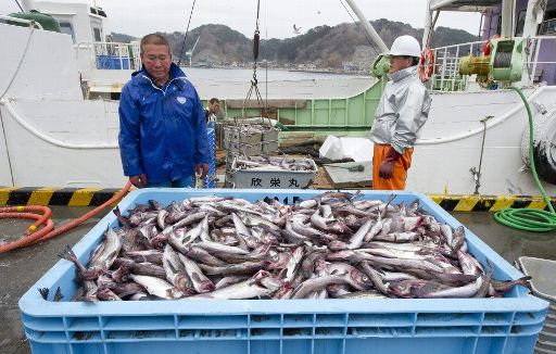 EU fordert: Nicht nur Fisch aus Japan kontrollieren