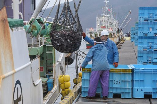 EU fordert: Schiffe aus Japan kontrollieren