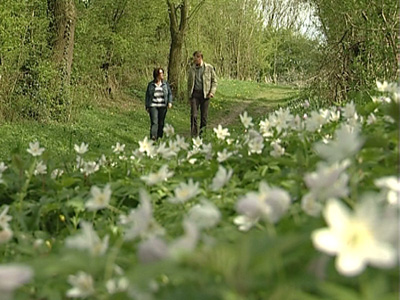 Rundweg durch das Tal der Blumen in Kelmis und Lontzen