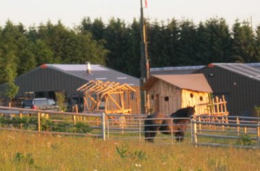 Pferd in der gemischten Handwerkszone "Schirm"