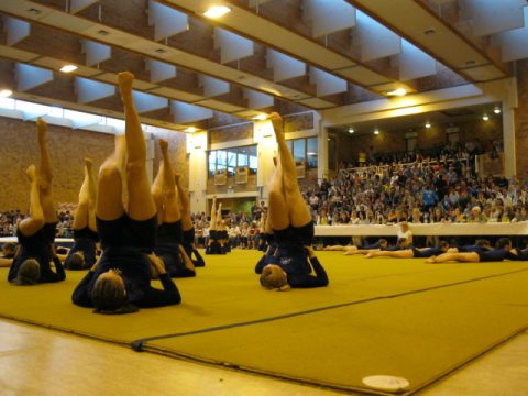 Riegenmeisterschaft des VDT in Worriken