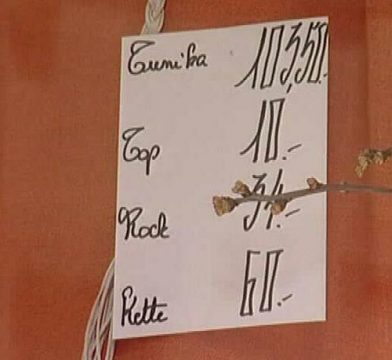 Knapp vier Wochen vor SSV beginnt Sperrfrist