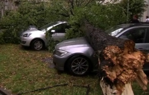 Schweres Unwetter sorgt gebietsweise für Schaden (Bild: umgestürtzer Baum in Antwerpen)