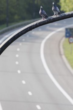 Brüsseler Ring soll im Sommer gemieden werden