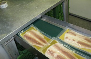 "Truite d'Ardenne" ab sofort im Einzelhandel