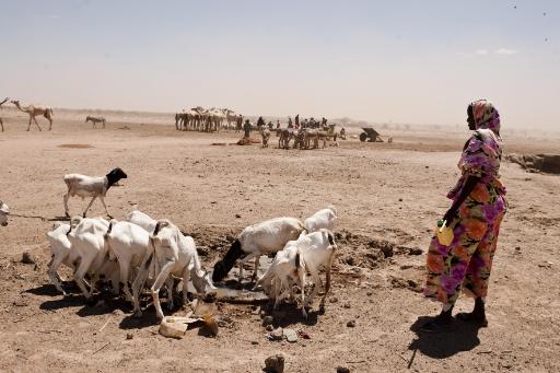 Somalis mit ihren Tieren auf der Suche nach Wasser in Hadado, Nordost-Kenia