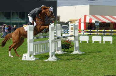 Landwirtschaftsmesse von Battice-Herve 2010