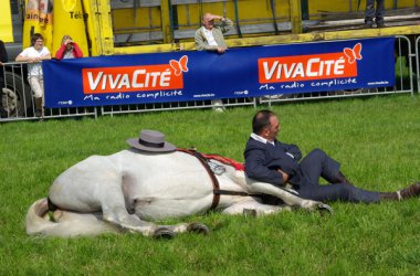 Landwirtschaftsmesse von Battice-Herve 2010