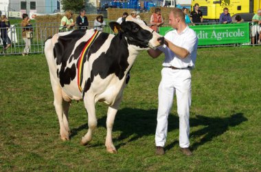 Landwirtschaftsmesse von Battice-Herve 2010