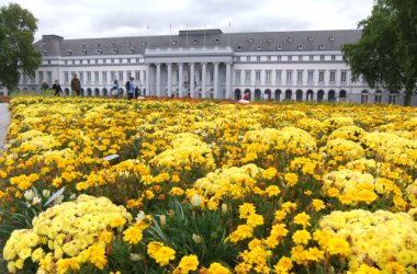 Bundesgartenschau 2011 in Koblenz: Letzte Woche