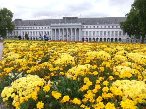 Bundesgartenschau 2011 in Koblenz: Letzte Woche