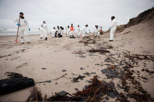 Papamoa Beach, Neuseeland: Freiwillige säubern die Strände