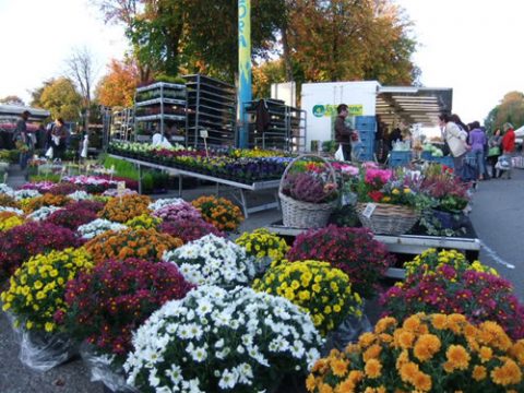 Der Michelsmarkt 2011 in Büllingen