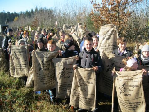 Baumpflanzaktion in den ostbelgischen Wäldern