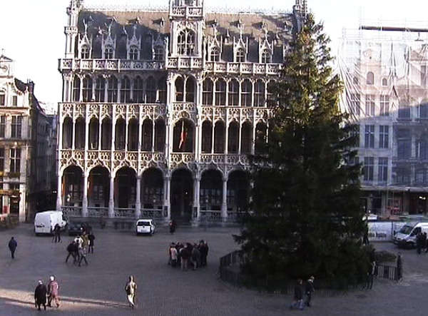 Ein Baum für die Grand'Place in Brüssel