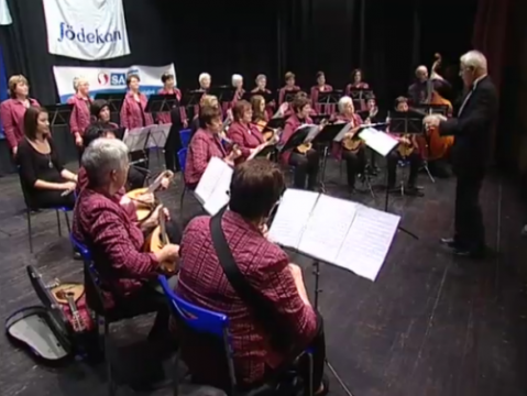 Einstufung der Ensembles 2011