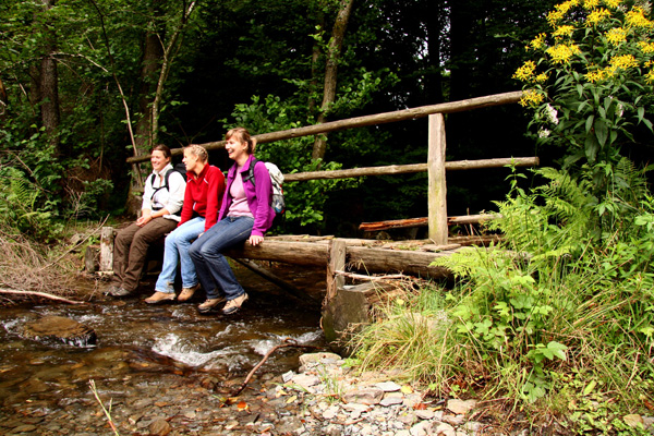 Wildnis-Trail: In vier Tagen durch den Nationalpark Eifel