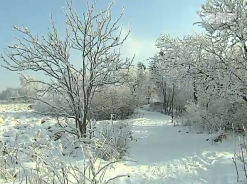 Schnee in Ostbelgien